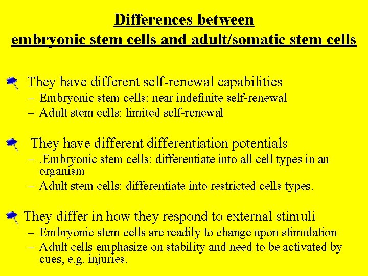 Differences between embryonic stem cells and adult/somatic stem cells • They have different self-renewal