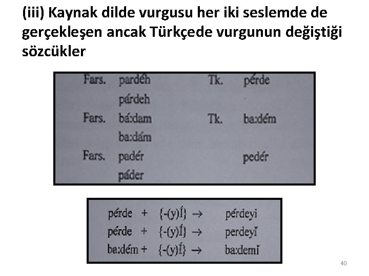 (iii) Kaynak dilde vurgusu her iki seslemde de gerçekleşen ancak Türkçede vurgunun değiştiği sözcükler