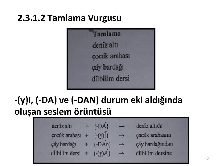 2. 3. 1. 2 Tamlama Vurgusu -(y)I, (-DA) ve (-DAN) durum eki aldığında oluşan