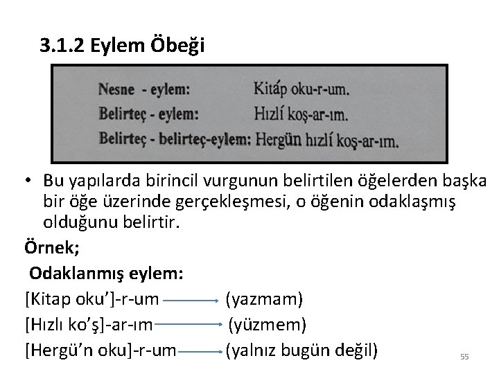 3. 1. 2 Eylem Öbeği • Bu yapılarda birincil vurgunun belirtilen öğelerden başka bir