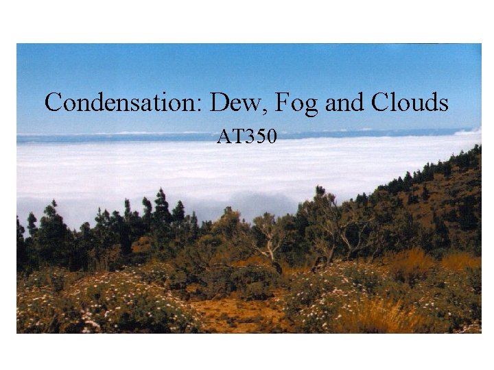 Condensation: Dew, Fog and Clouds AT 350 