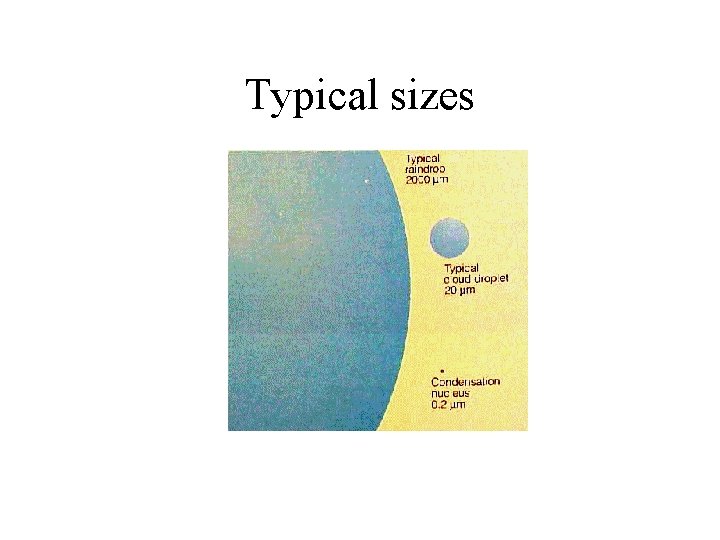 Typical sizes 