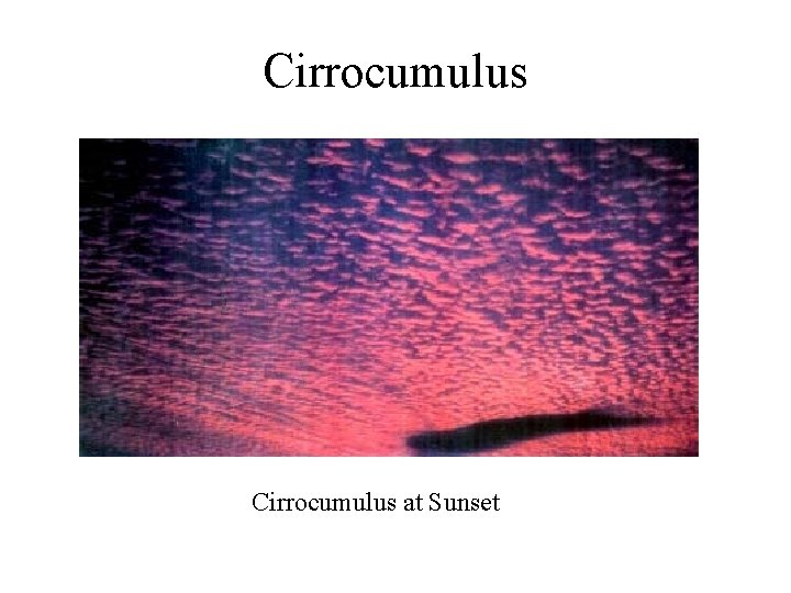Cirrocumulus at Sunset 