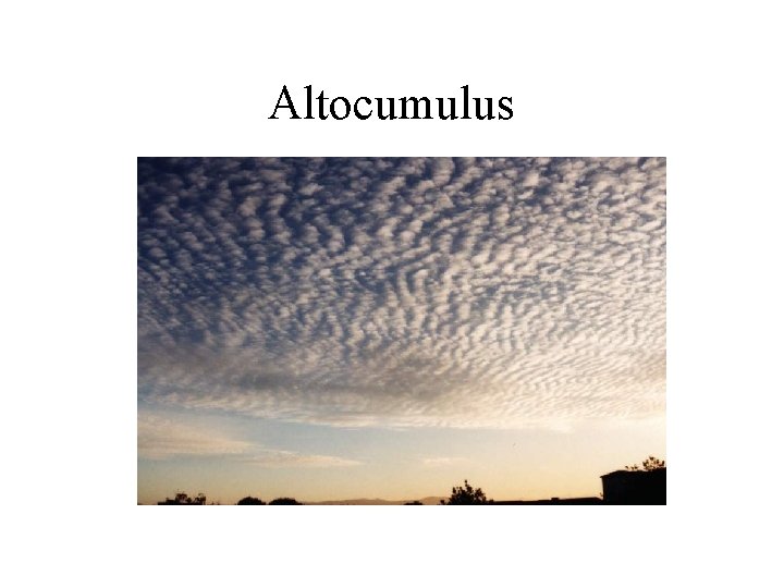 Altocumulus 