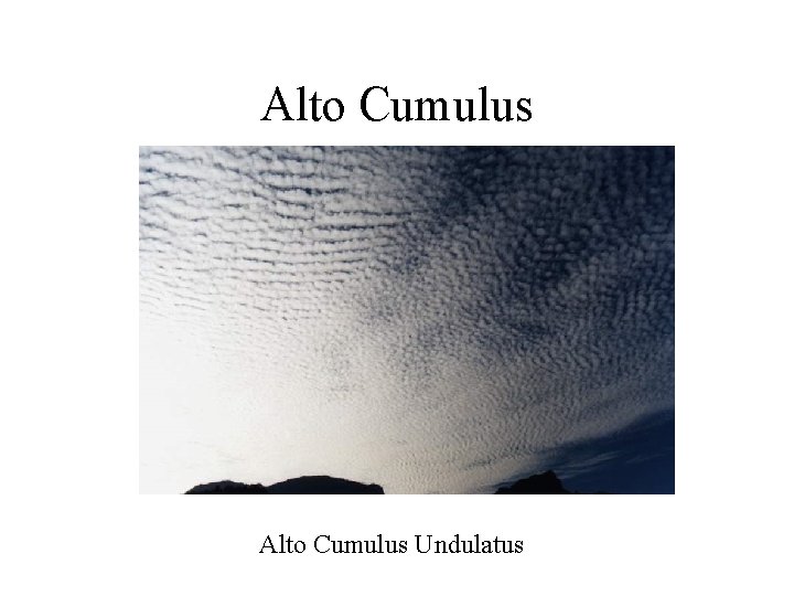 Alto Cumulus Undulatus 