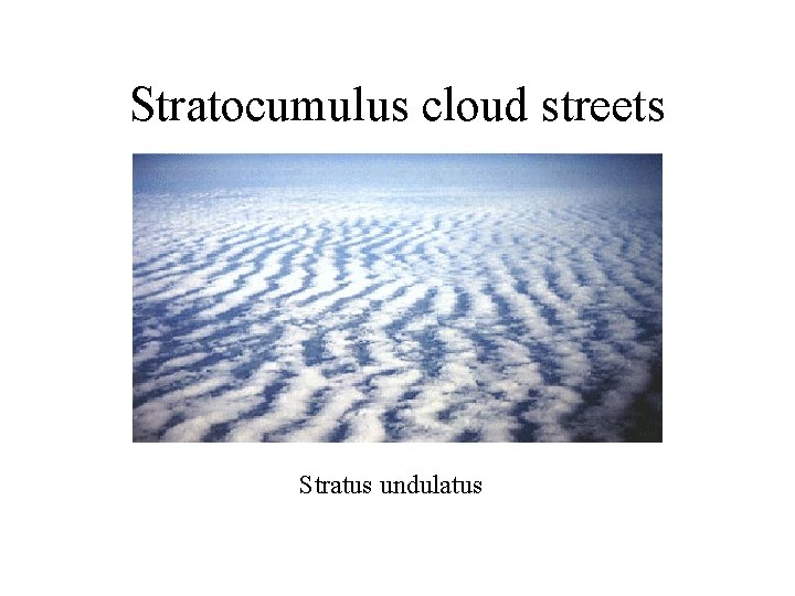 Stratocumulus cloud streets Stratus undulatus 