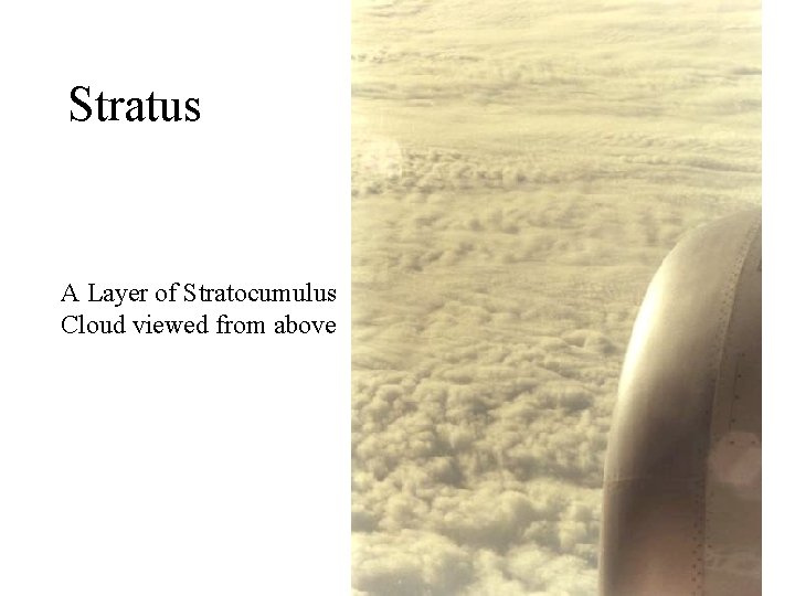 Stratus A Layer of Stratocumulus Cloud viewed from above 