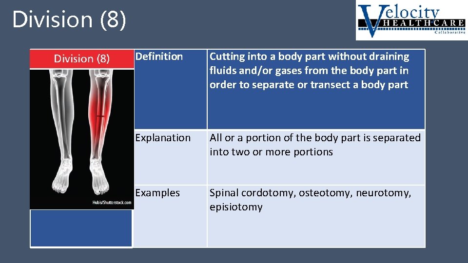 Division (8) Division 8 Definition Cutting into a body part without draining fluids and/or