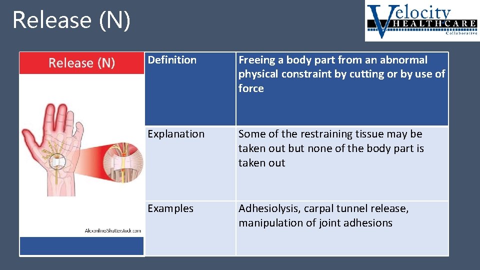 Release (N) Release N Definition Freeing a body part from an abnormal physical constraint