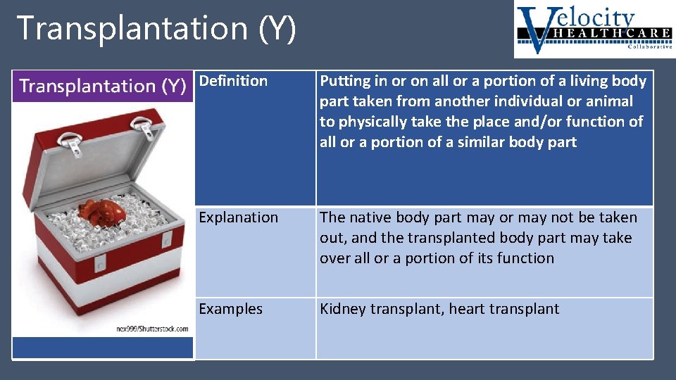 Transplantation (Y) Transplantation Y Definition Putting in or on all or a portion of