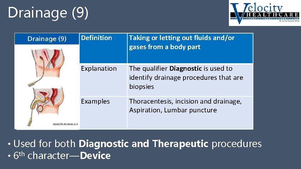 Drainage (9) Drainage 9 Definition Taking or letting out fluids and/or gases from a