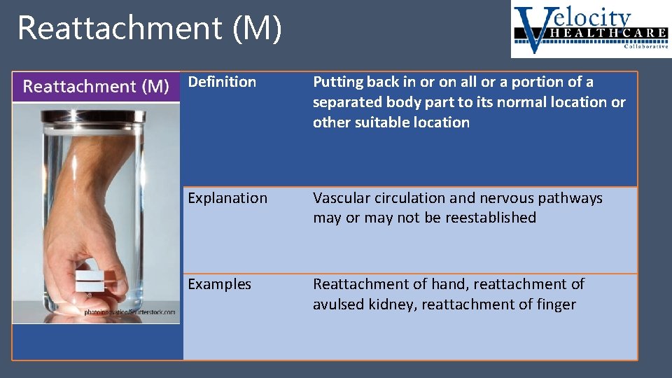 Reattachment (M) Reattachment M Definition Putting back in or on all or a portion