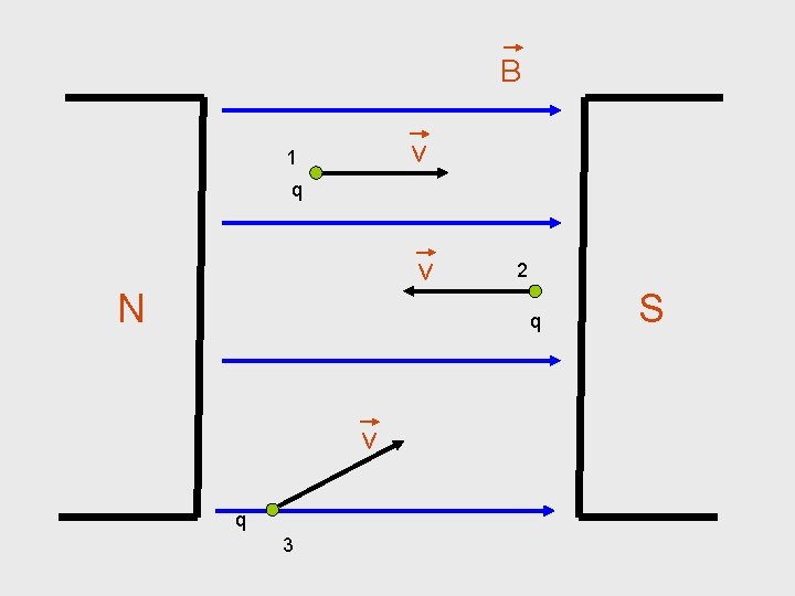 B v 1 q v N 2 q v q 3 S 