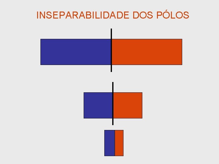 INSEPARABILIDADE DOS PÓLOS 