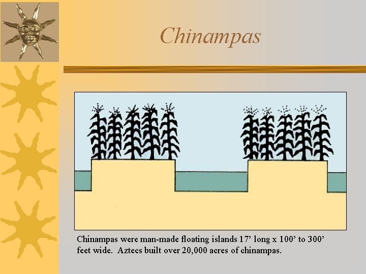 Chinampas were man-made floating islands 17’ long x 100’ to 300’ feet wide. Aztecs