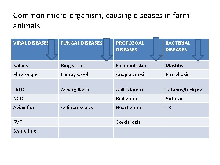 Common micro-organism, causing diseases in farm animals VIRAL DISEASES FUNGAL DISEASES PROTOZOAL DISEASES BACTERIAL