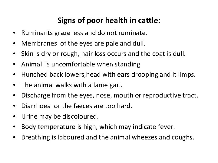 Signs of poor health in cattle: • • • Ruminants graze less and do