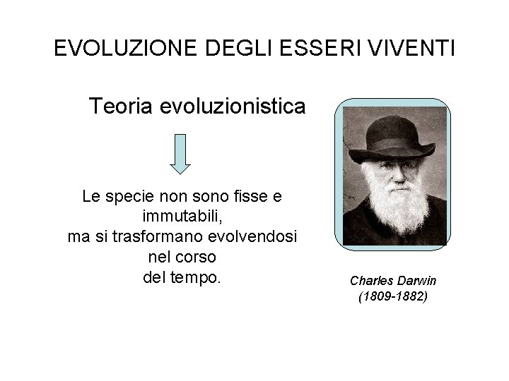 EVOLUZIONE DEGLI ESSERI VIVENTI Teoria evoluzionistica Le specie non sono fisse e immutabili, ma