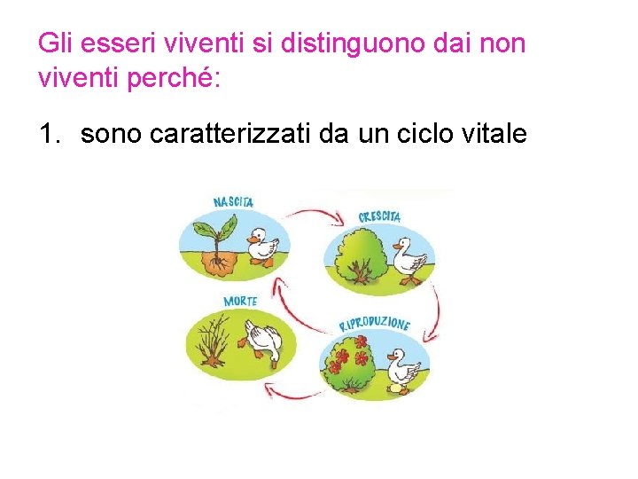 Gli esseri viventi si distinguono dai non viventi perché: 1. sono caratterizzati da un