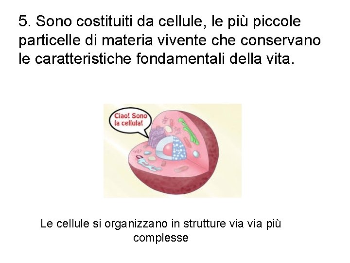 5. Sono costituiti da cellule, le più piccole particelle di materia vivente che conservano