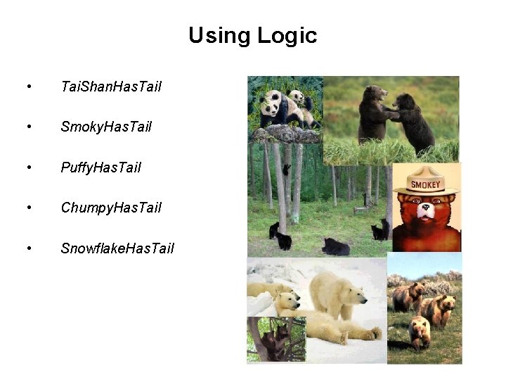 Using Logic • Tai. Shan. Has. Tail • Smoky. Has. Tail • Puffy. Has.