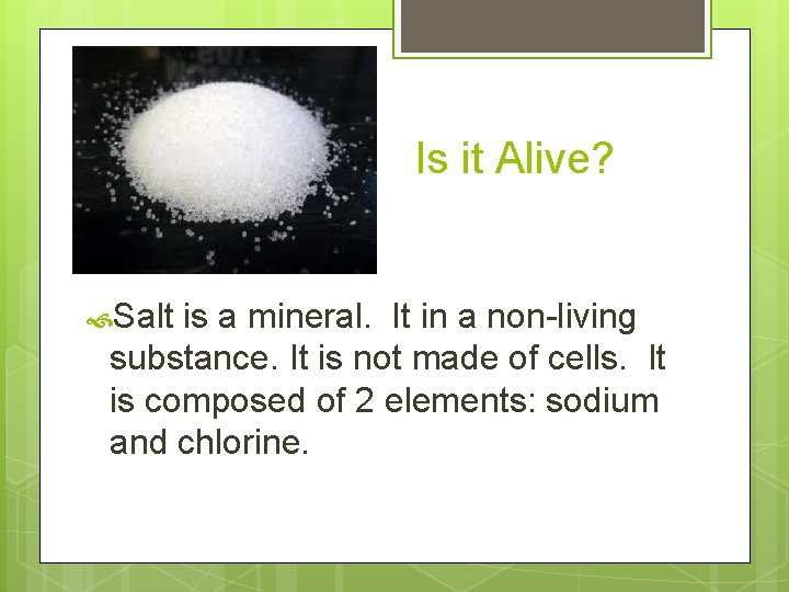 Is it Alive? Salt is a mineral. It in a non-living substance. It is