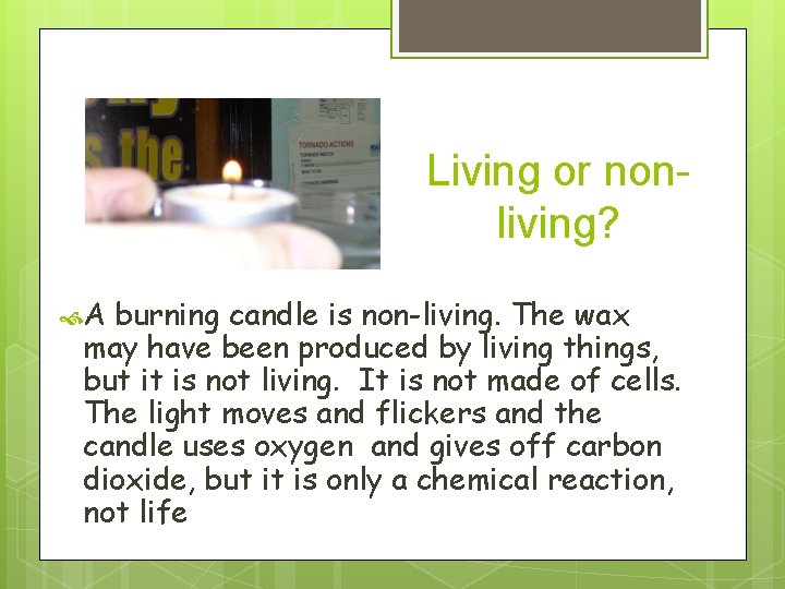 Living or nonliving? A burning candle is non-living. The wax may have been produced