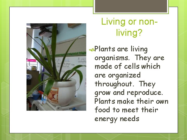 Living or nonliving? Plants are living organisms. They are made of cells which are