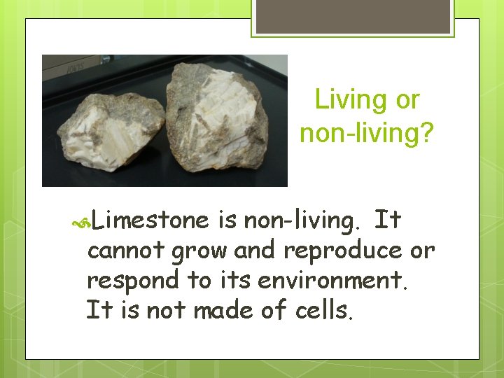 Living or non-living? Limestone is non-living. It cannot grow and reproduce or respond to