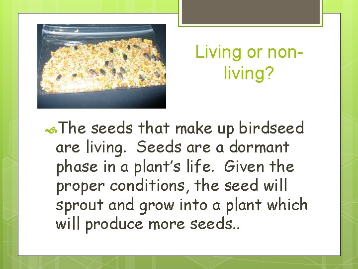 Living or nonliving? The seeds that make up birdseed are living. Seeds are a
