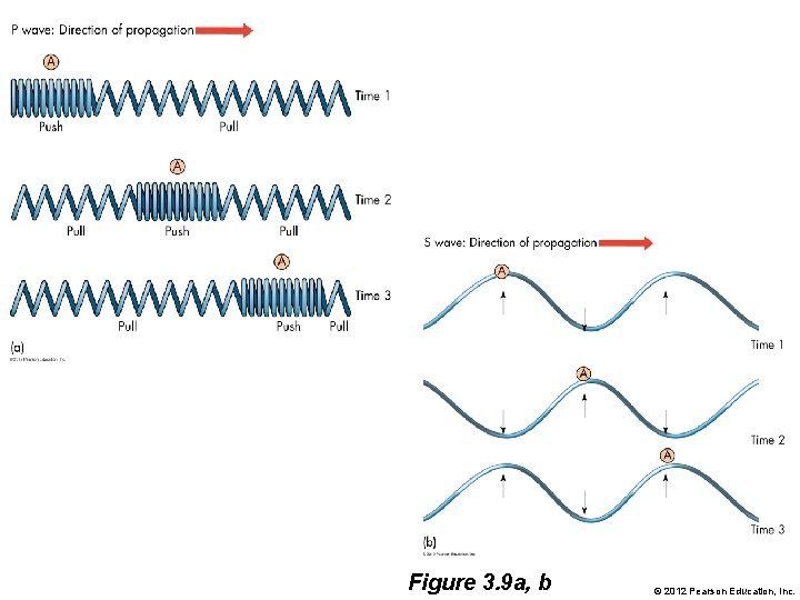 Figure 3. 9 a, b © 2012 Pearson Education, Inc. 