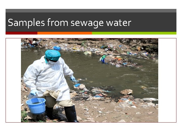 Samples from sewage water 