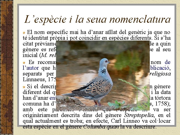 L’espècie i la seua nomenclatura El nom específic mai ha d’anar aïllat del genèric