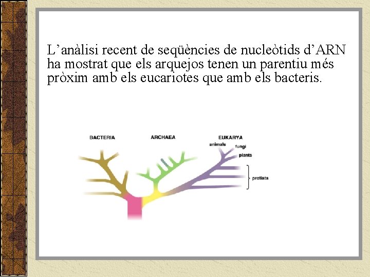 L’anàlisi recent de seqüències de nucleòtids d’ARN ha mostrat que els arquejos tenen un