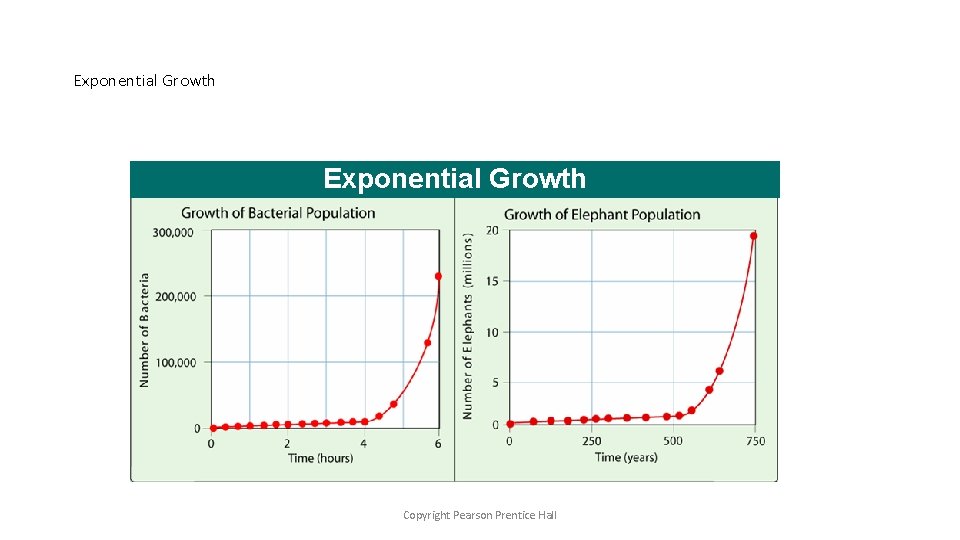 Exponential Growth Copyright Pearson Prentice Hall 