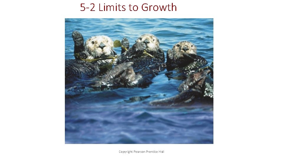 5 -2 Limits to Growth Copyright Pearson Prentice Hall 