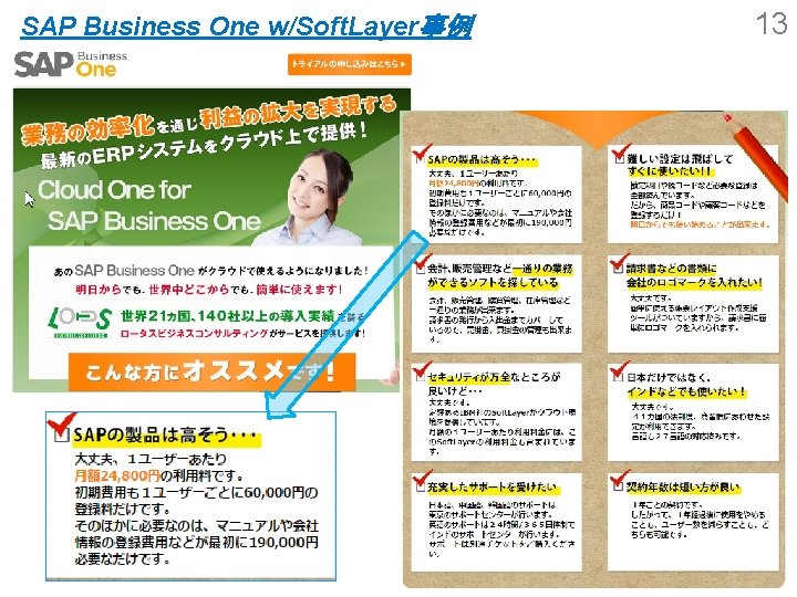SAP Business One w/Soft. Layer事例 13 