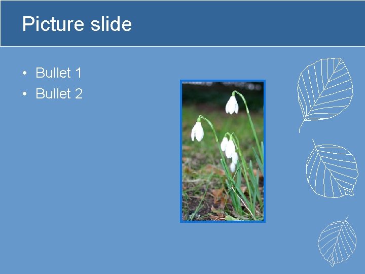Picture slide • Bullet 1 • Bullet 2 