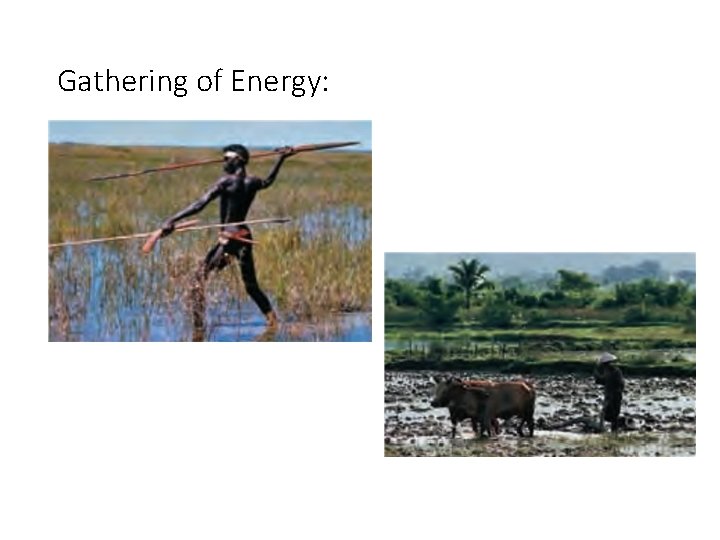 Gathering of Energy: 