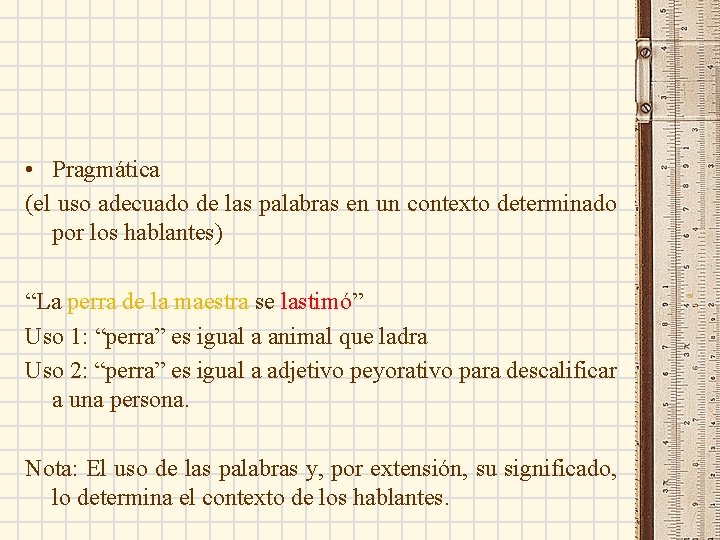  • Pragmática (el uso adecuado de las palabras en un contexto determinado por