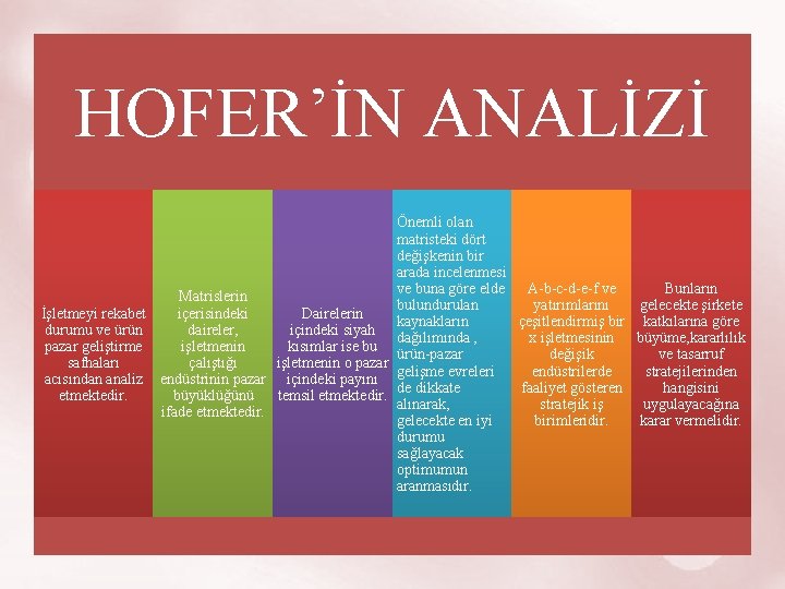 HOFER’İN ANALİZİ Önemli olan matristeki dört değişkenin bir arada incelenmesi ve buna göre elde