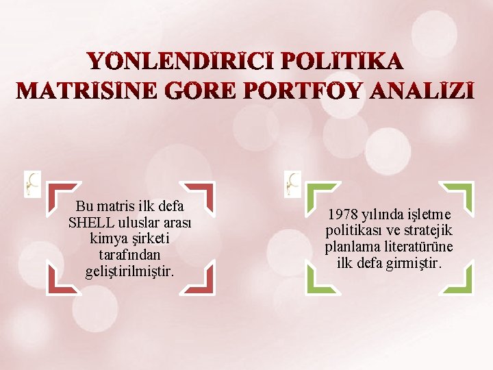 Bu matris ilk defa SHELL uluslar arası kimya şirketi tarafından geliştirilmiştir. 1978 yılında işletme