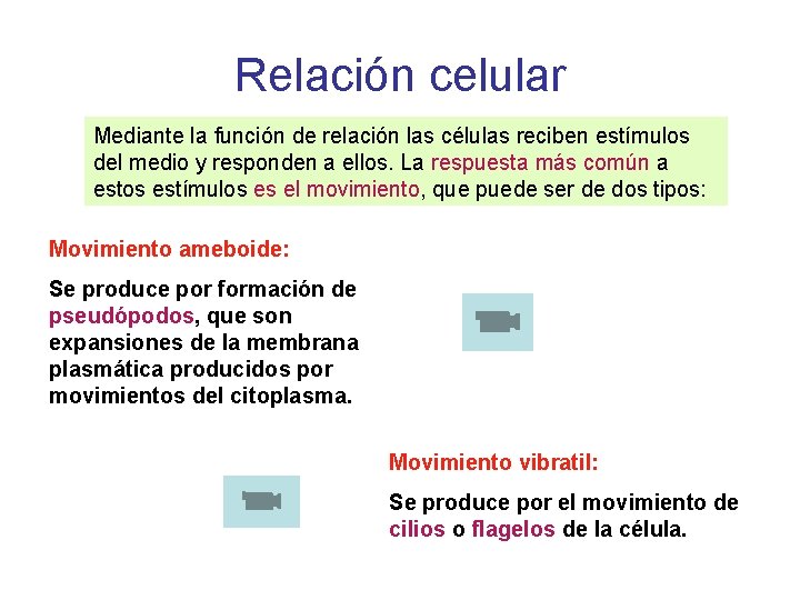 Relación celular Mediante la función de relación las células reciben estímulos del medio y