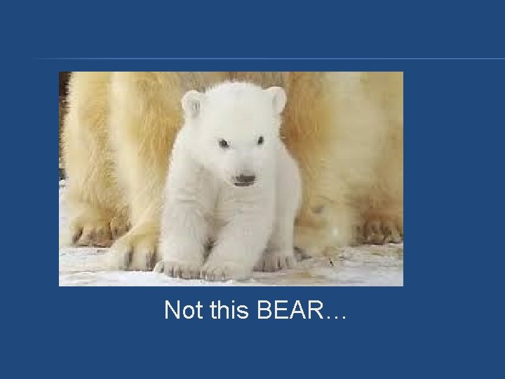 Not this BEAR… Not this BEAR…