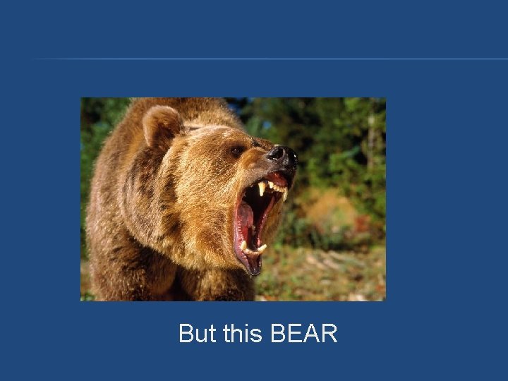 But this BEAR But this BEAR