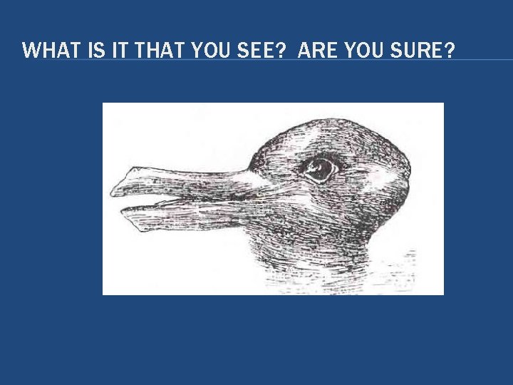 WHAT IS IT THAT YOU SEE? ARE YOU SURE? WHAT IS IT THAT YOU SEE? ARE YOU SURE?