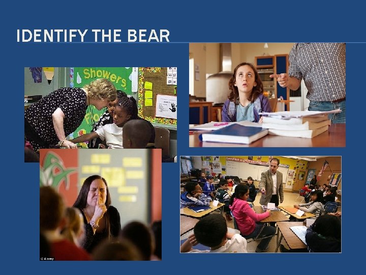 IDENTIFY THE BEAR IDENTIFY THE BEAR