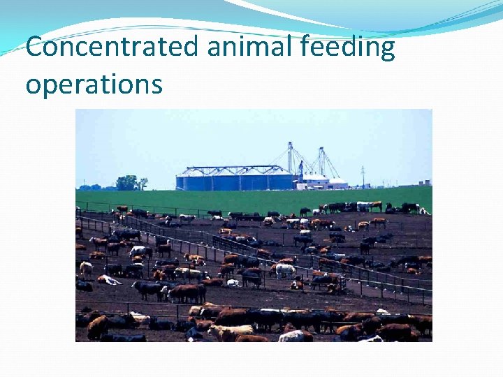 Concentrated animal feeding operations 