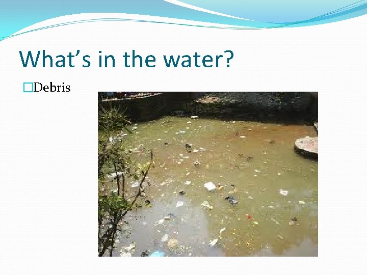 What’s in the water? �Debris 