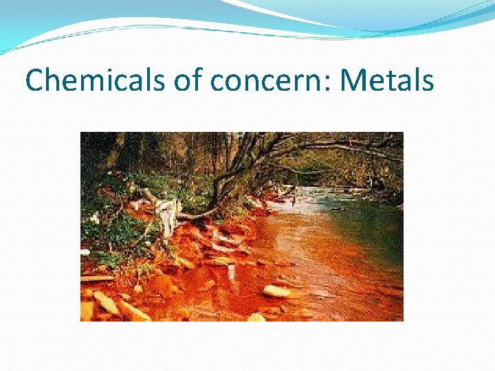 Chemicals of concern: Metals 